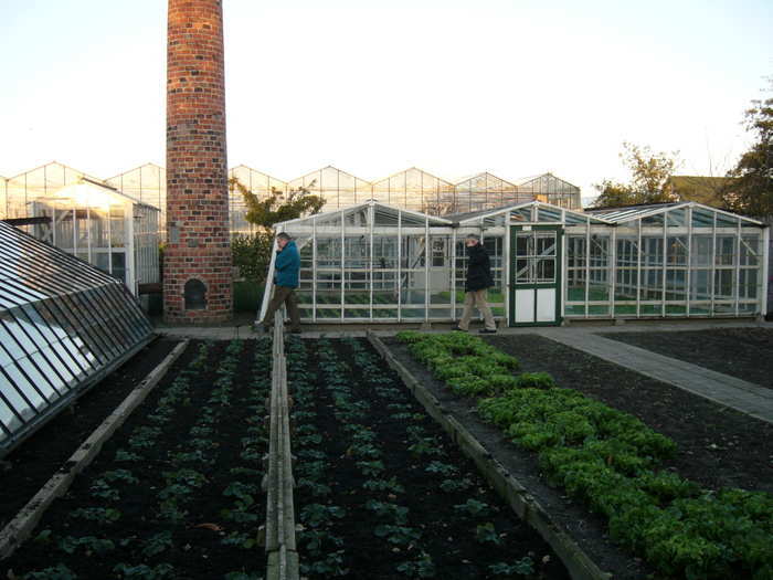Музей тепличного хозяйства в Голландии.