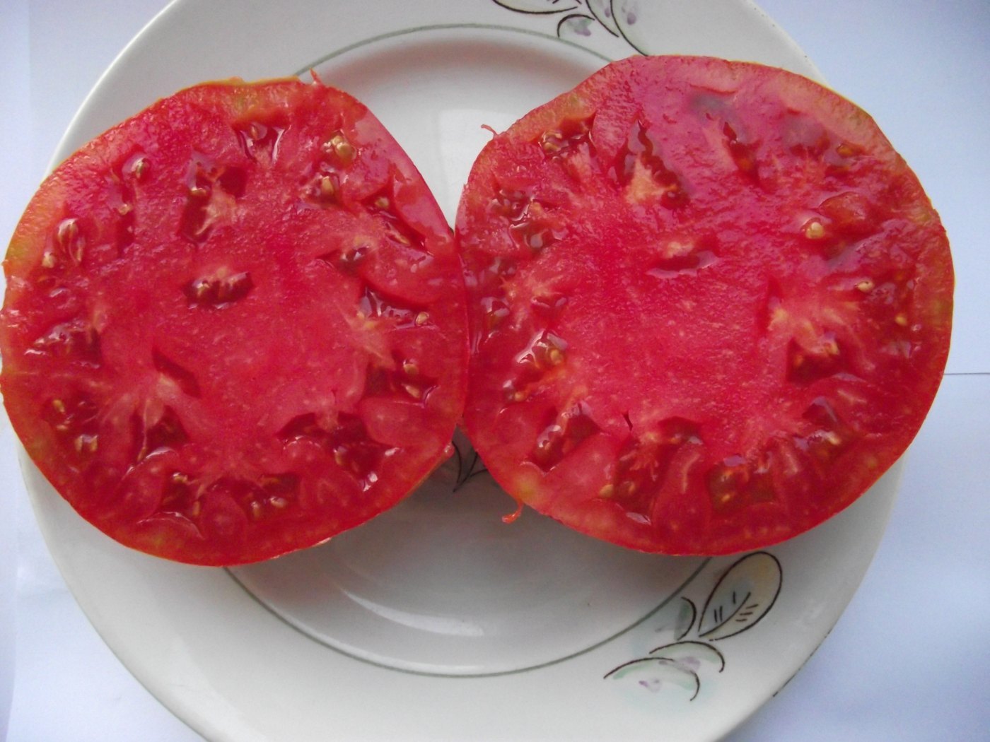 юсуповский помидор фото