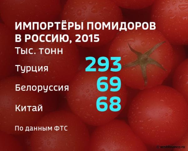 Импортеры помидоров в Россию, 2015