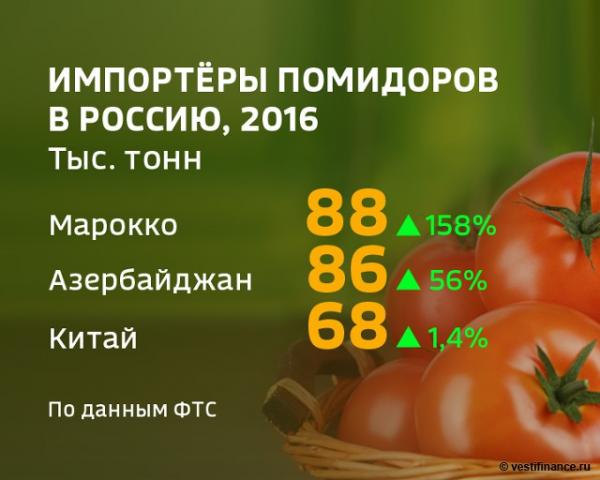Импортеры помидоров в Россию, 2016