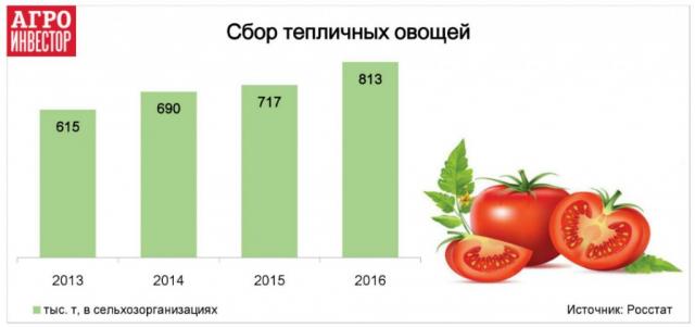 Статистика сбора тепличных овошей