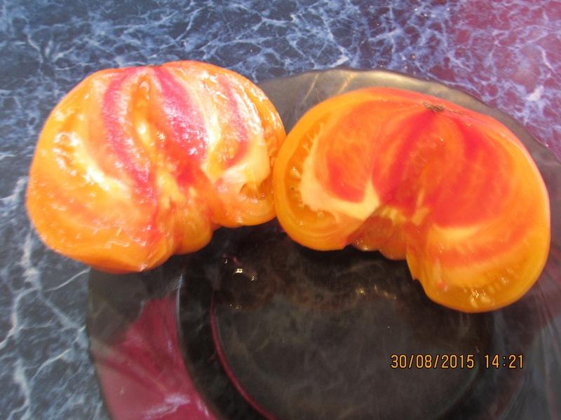 Желто розовые томаты
