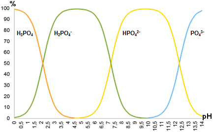 Phosphate_hydrolysis.png