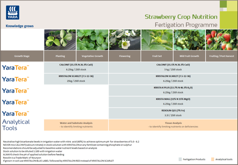 uk-crop-programmes-strawberry-fertigation.png