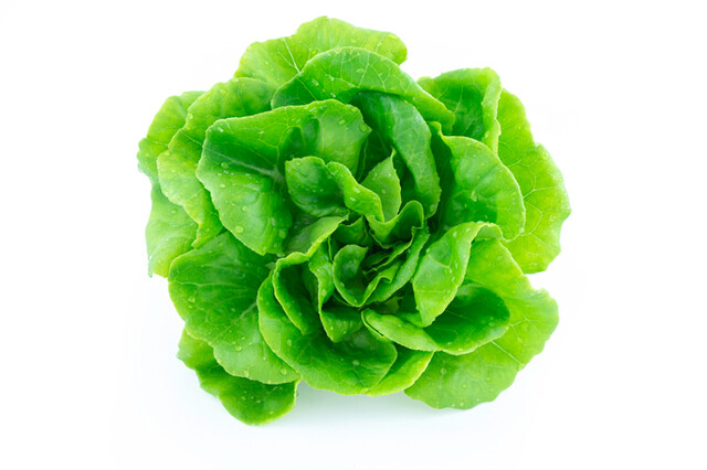 lettuce-green.jpg